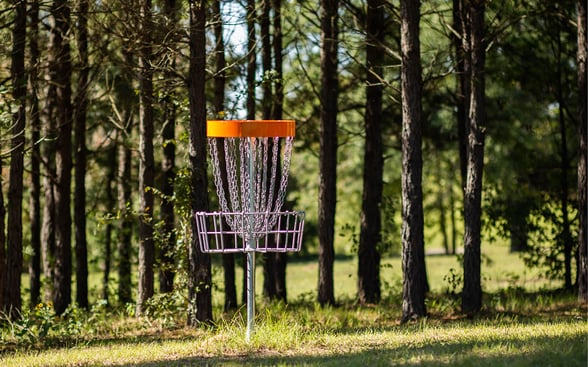 Explore the great outdoors