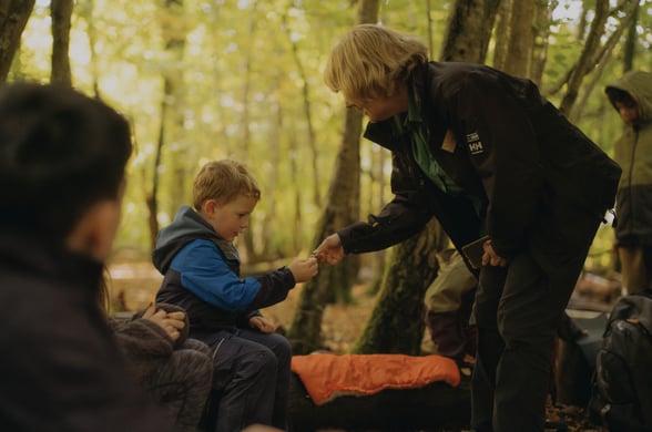 Unmissable forest experiences