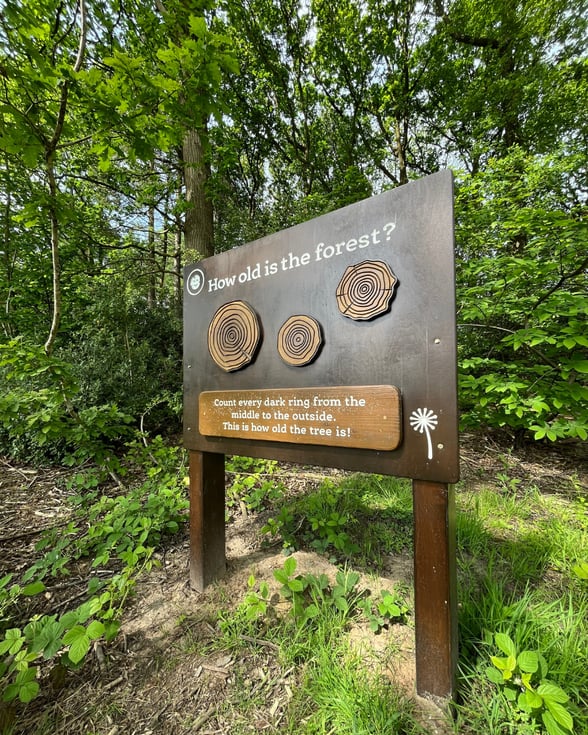 Nature Discovery Trail at Delamere Forest