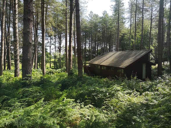 Log cabin at Delamere Forest, Cheshire