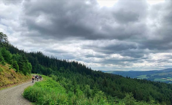 People cycling in Glentress Forest