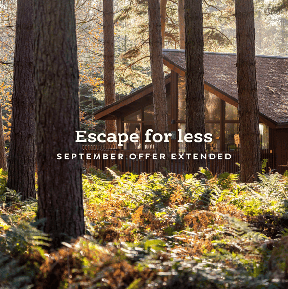 Last few breaks remaining! 