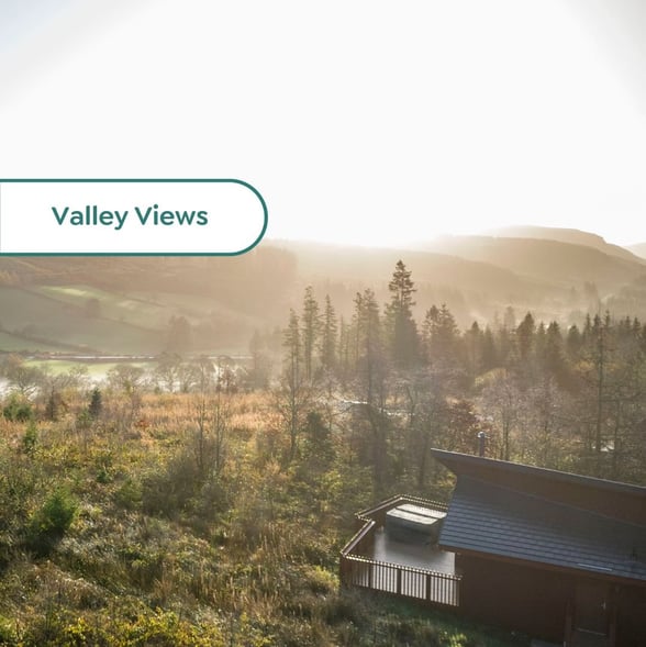 White Willow Premium Valley View