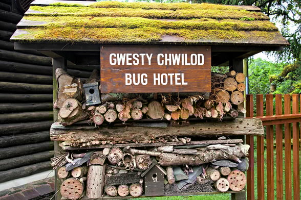 Bug hotel and wildlife