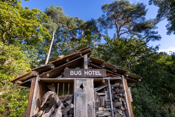 Bug hotel and wildlife