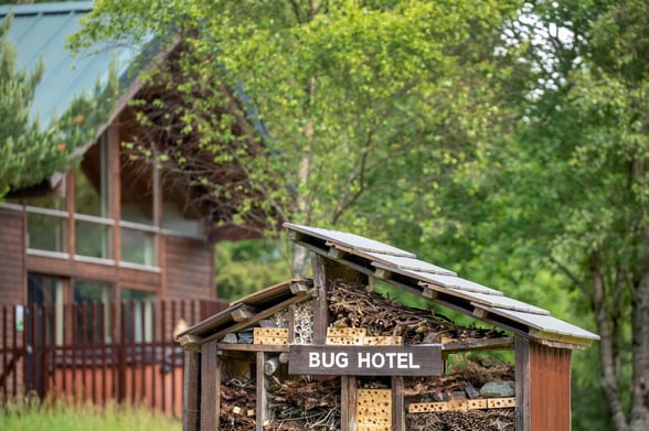 Bug hotel at Forest Holidays, Strathyre location