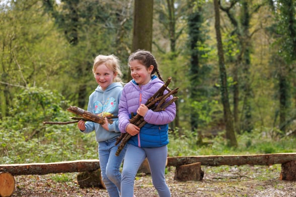 Make a bug hotel