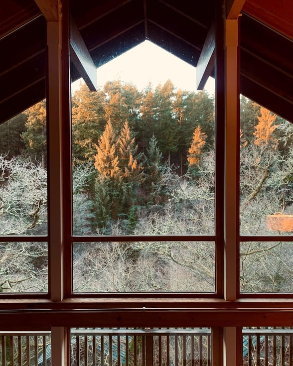 Winter forest view from cabin window