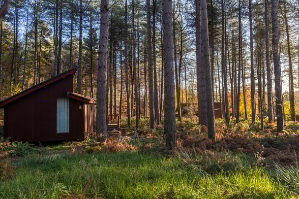 Cabin in Delamere Forest, Forest Holidays