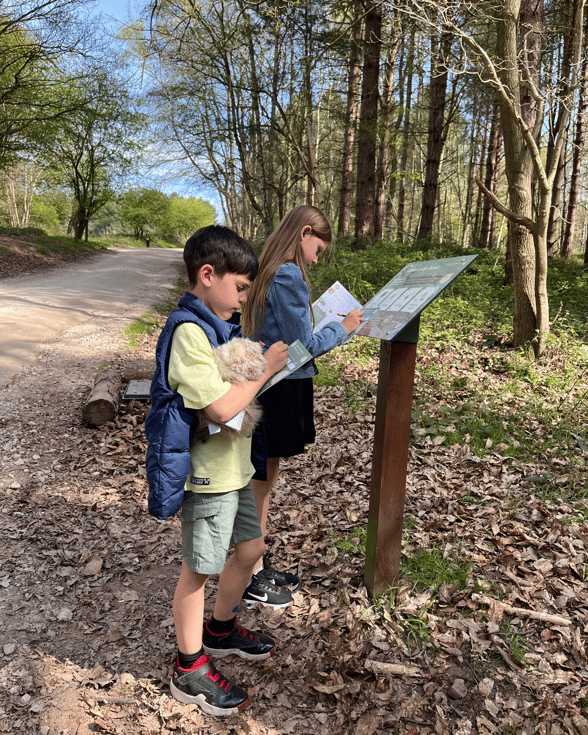 Elvis Owl Nature Trail