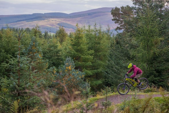 Mountain biking at Glentress Forest