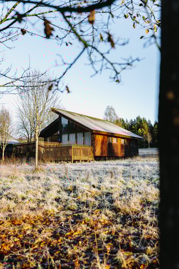 Winter log cabin at Forest of Dean