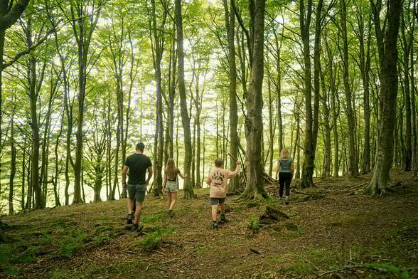 Pre-book and personalise your stay