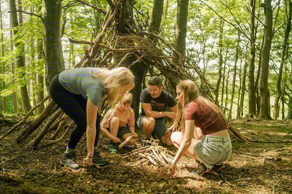 Forest Survival