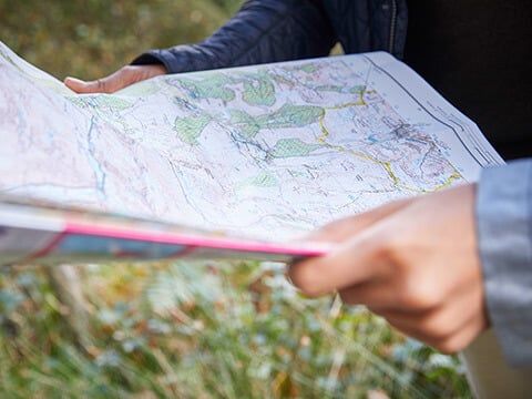 Around and About' map and torch