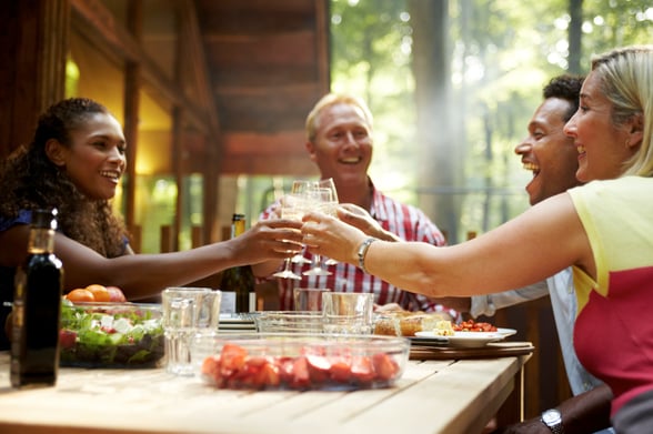 Group of friends drinking prosecco on the decking in a cabin at Forest Holidays