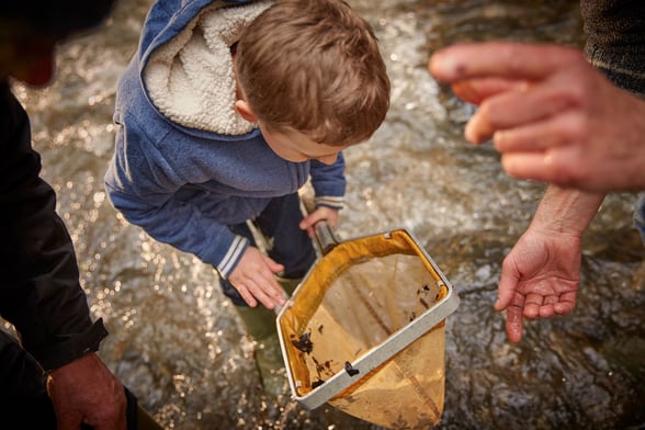Pond dipping at Deerpark, Forest Holidays