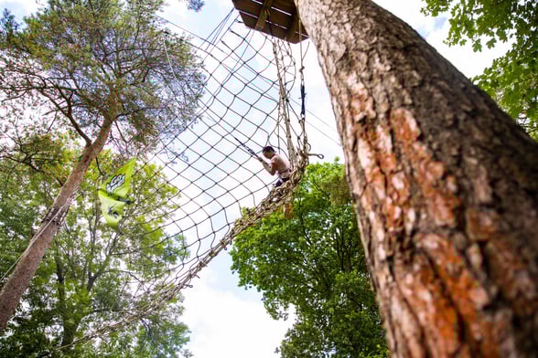 Go Ape Tree Top Challenge