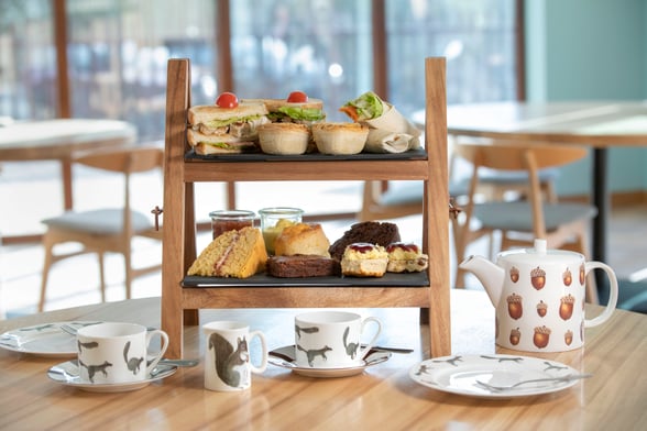 Woodland Afternoon Tea at Forest Holidays