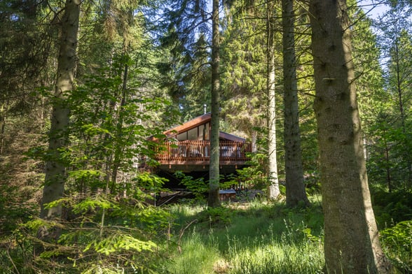 Golden Oak Hideaway cabin surrounded by trees