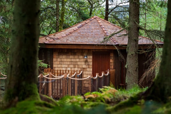 Golden Oak Treehouse pod