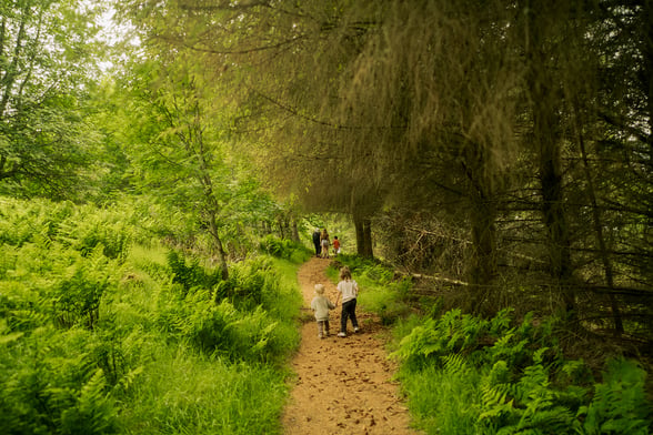 Meet Our Deerpark Forest Ranger & Discover More About Nature