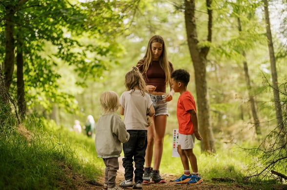 Guided Woodland Walk