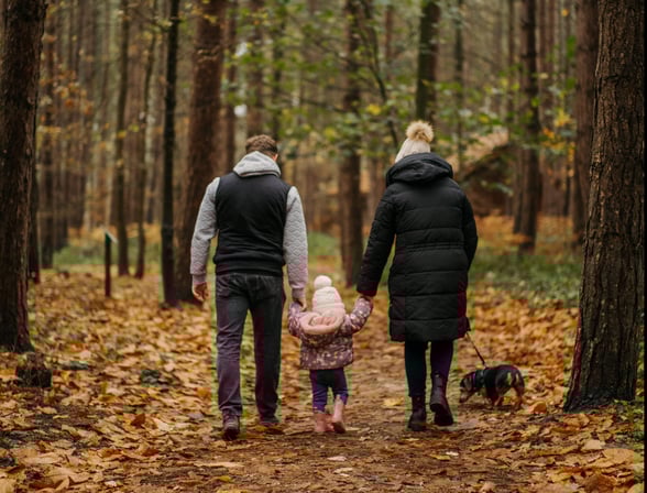 A family walking in an autumn forest