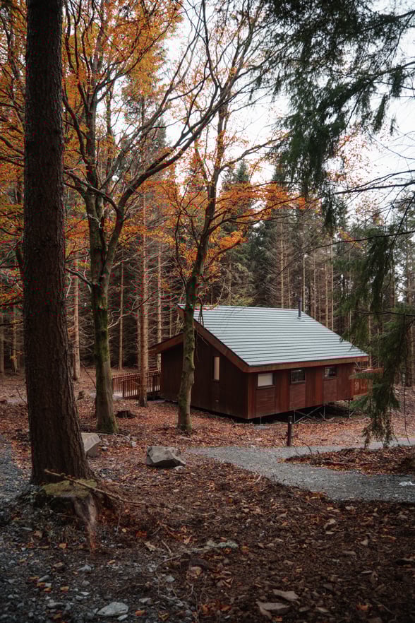Silver Birch cabin at Glentress Forest