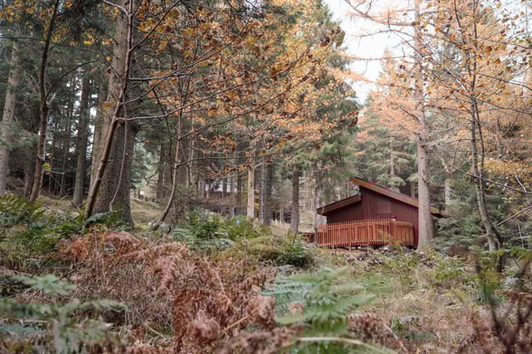 Silver Birch cabin at Glentress Forest