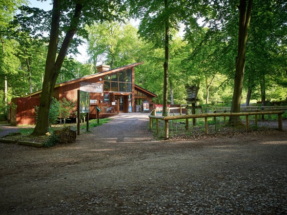 Our 13 UK locations