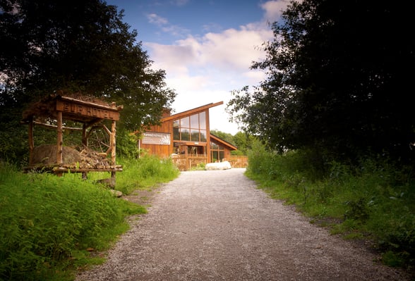 The entrance drive to Sherwood Frest, Nottinghamshire, Forest Holidays