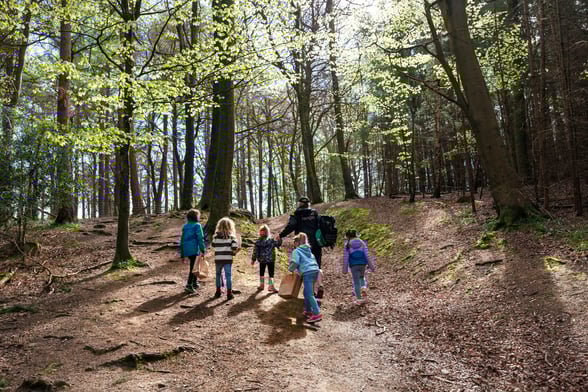 Forest Ranger walks at Forest of Dean