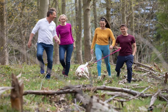 Family dog walks through the forest
