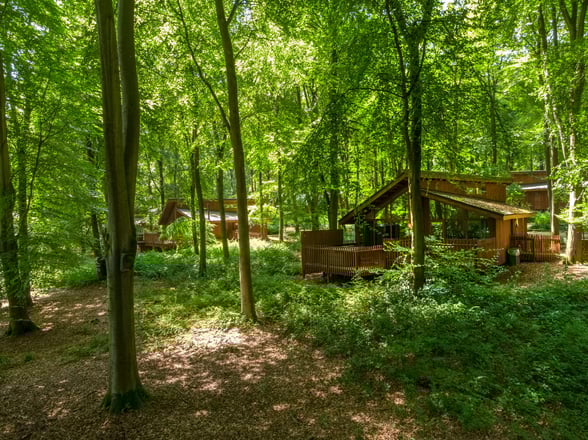 A lodge in the forest at Forest Holidays