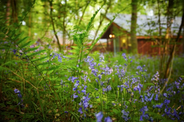 Forest of Dean, Wye Valley 