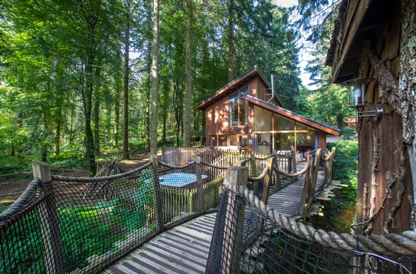 Rope bridge attached t the Golden Oak Treehouse cabin at Forest Holidays