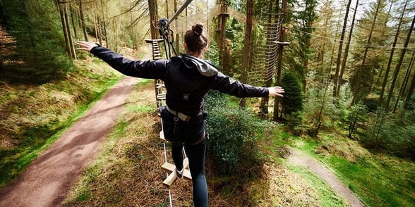go-ape-adventure-in-the-forest