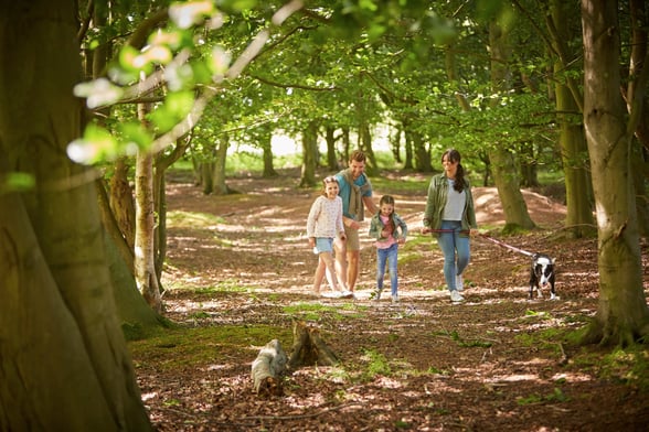 Guests at Forest Holidays on a family dog walk.
