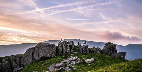 Sunrise rocky landscape