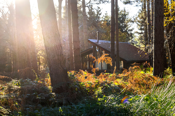 Log cabin at Forest Holidays in Autumn