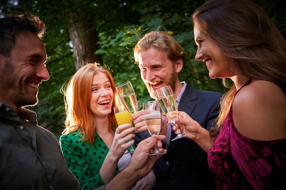 Group of friends clinking their glasses together at Forest Holidays