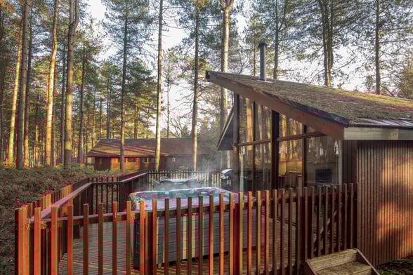 Golden Oak decking area at Delamere Forest