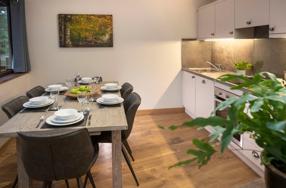 Kitchen of Silver Birch, Delamere Forest