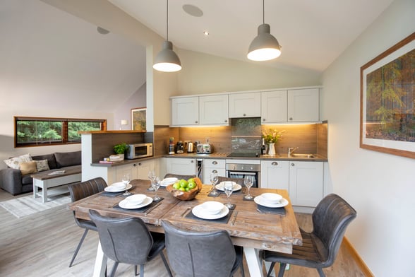 White Willow Premium kitchen