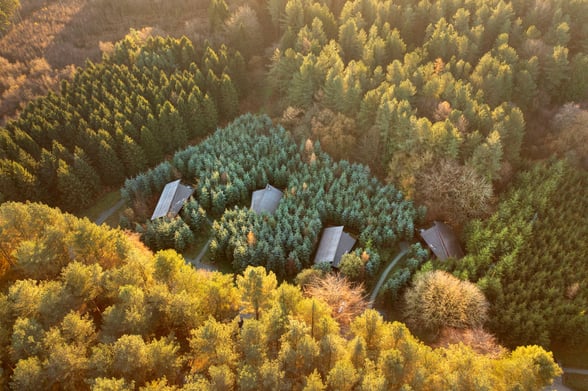 Aerial view of Delamere Forest, Cheshire
