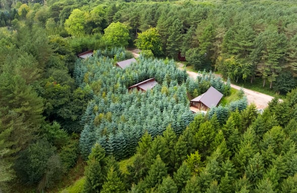 Birds eye view of Delamere, Forest Holidays