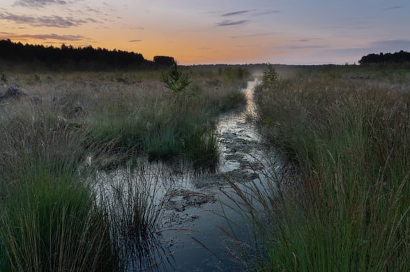 Meres and mosses in Cheshire