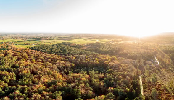 Aerial view of Cheshire countryside