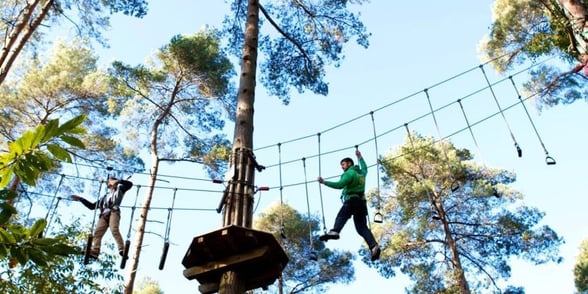 Treetop activity at Go Ape Haldon
